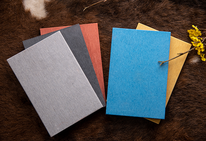 岡帝斯Gadis 金彩板