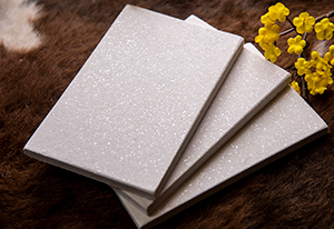 火克Hawk-X泄壓板